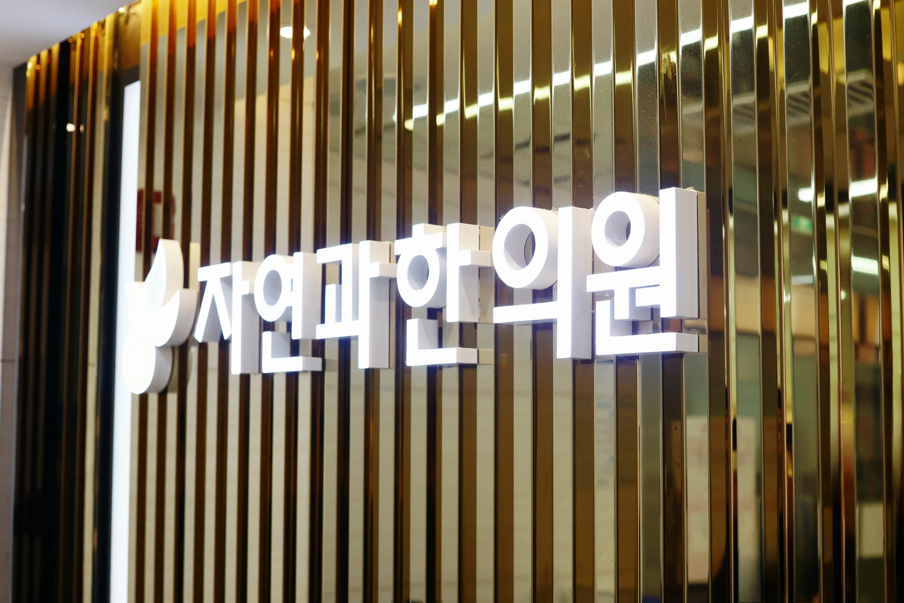 금빛 벽면에 설치된 자연과한의원 천호점 로고 사인