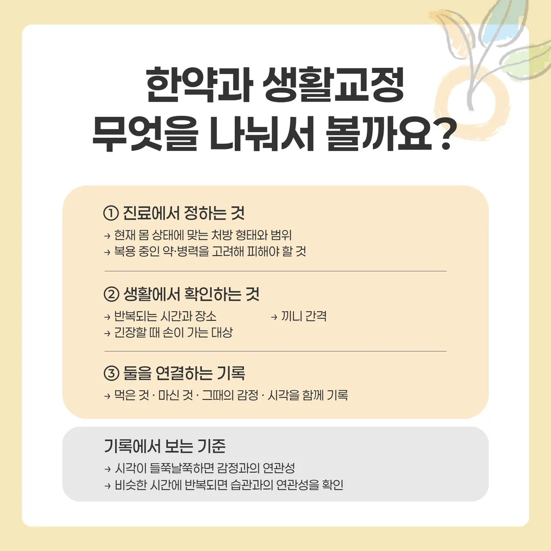 한약 처방과 생활 교정의 역할 분담을 두 기둥으로 나눈 관계도