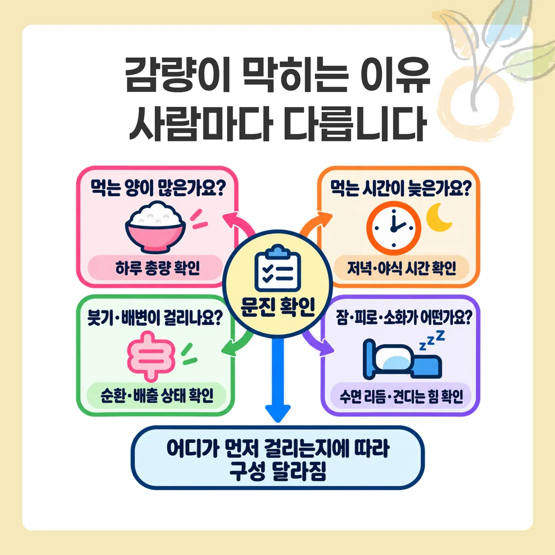 다이어트 한약 구성이 갈리는 네 가지 분기점 도식