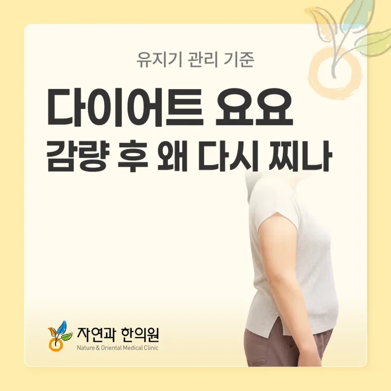 다이어트 요요, 감량 후 왜 다시 찌나 — 유지기 관리 기준