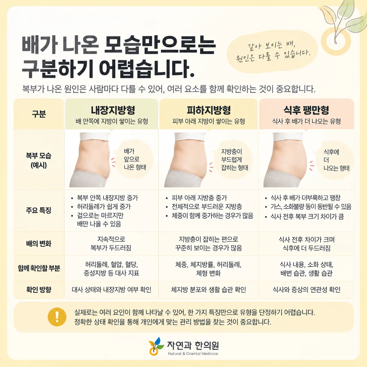 내장지방형 피하지방형 식후 팽만형을 확인 항목별로 비교한 세 갈래 도식