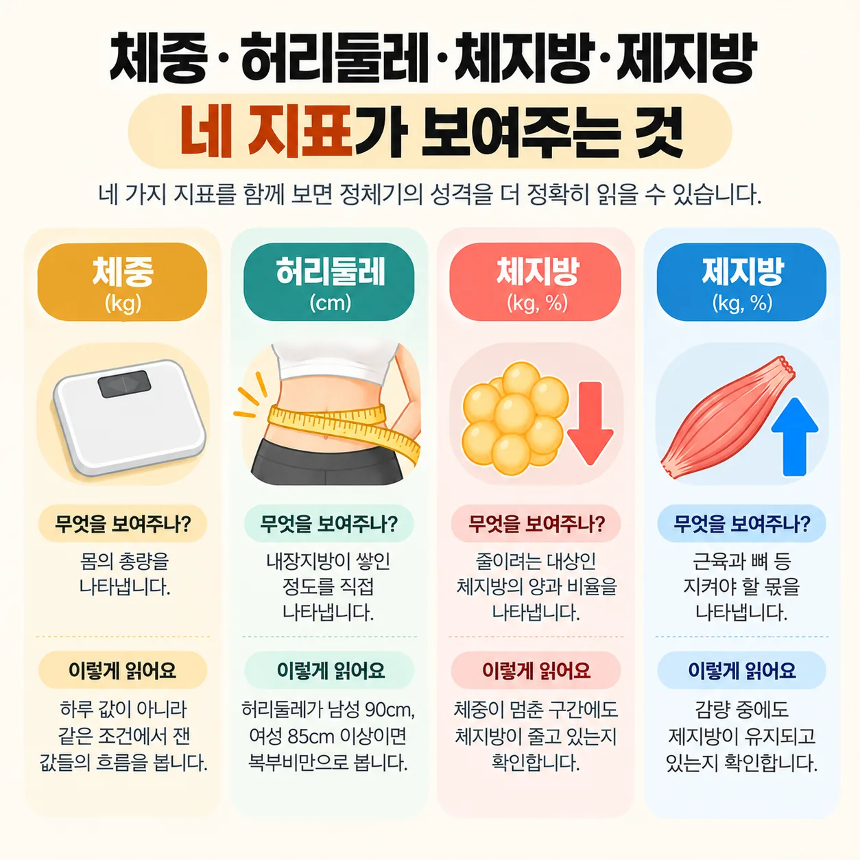 체중, 허리둘레, 체지방, 제지방 네 지표를 나란히 놓고 읽는 방식을 비교한 도식