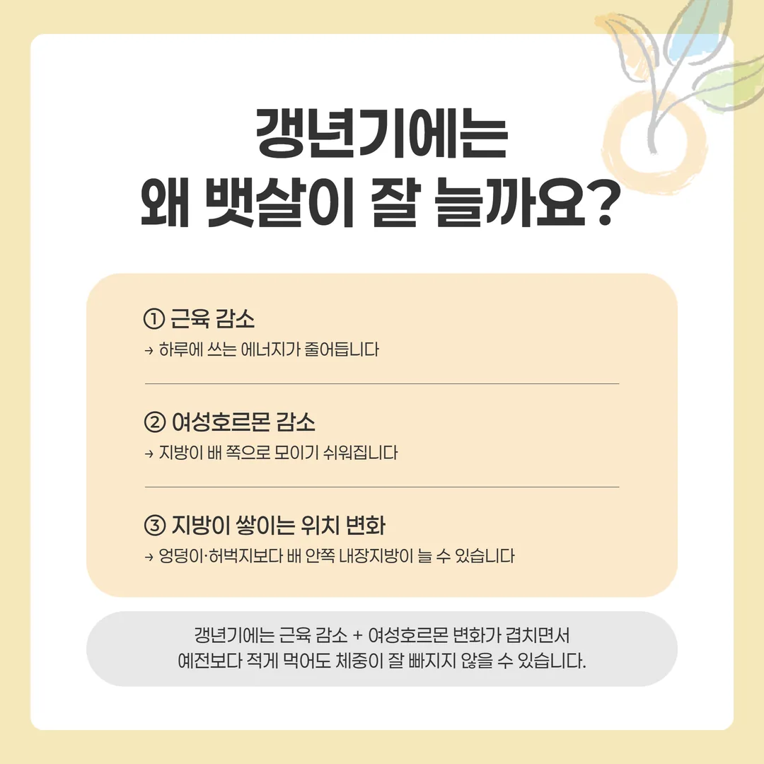 여성호르몬이 줄면서 지방이 쌓이는 자리가 엉덩이에서 배로 바뀌는 갱년기 체형 변화 개념도