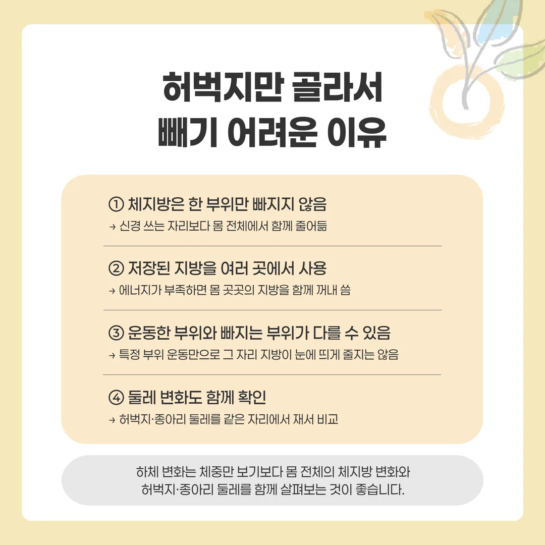 체지방이 한 부위가 아니라 몸 전체에서 함께 줄어드는 흐름 개념도
