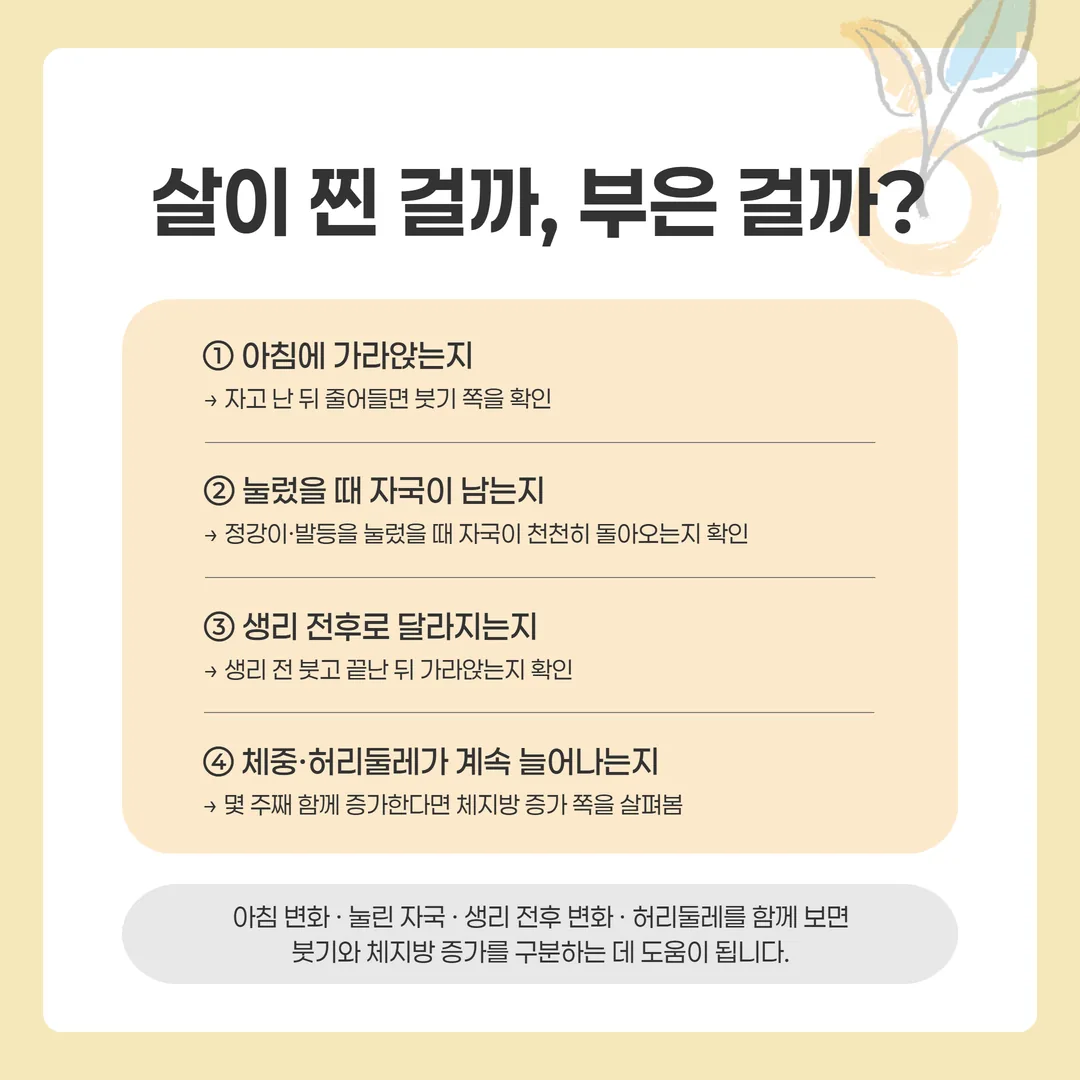 붓기와 체지방을 아침 변화와 눌렀을 때 자국, 생리 주기, 허리둘레로 나눠 본 비교표